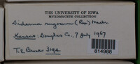 Image Associated With the Occurence